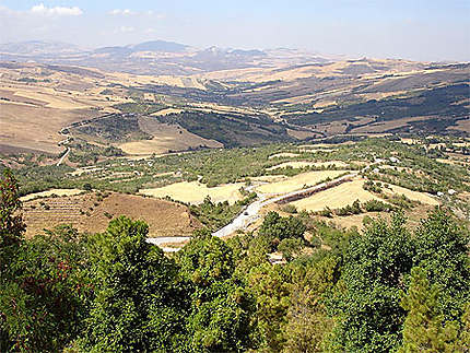 La vallée de Bisaccia et ses vignes