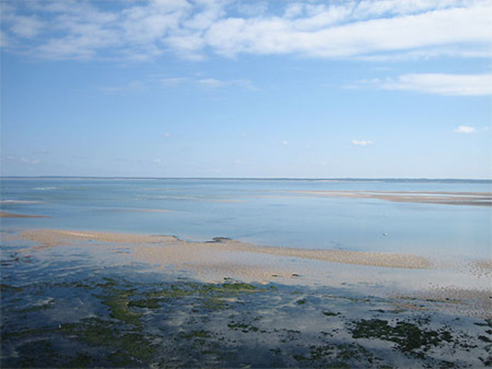 Vue du phare de Cordouan