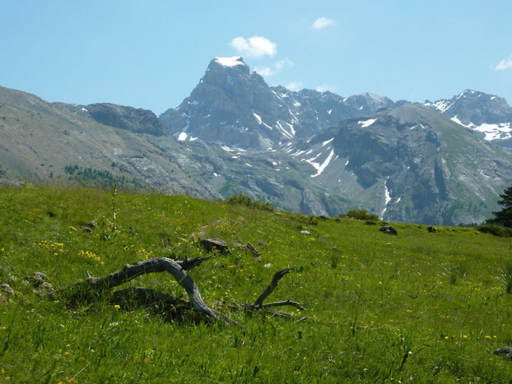 Brec du Chambeyron ( 3390 m )