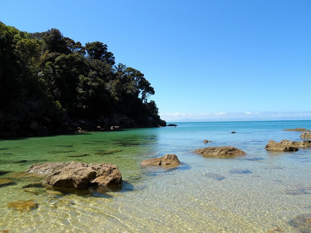 Adele Island, Abel tasman National park