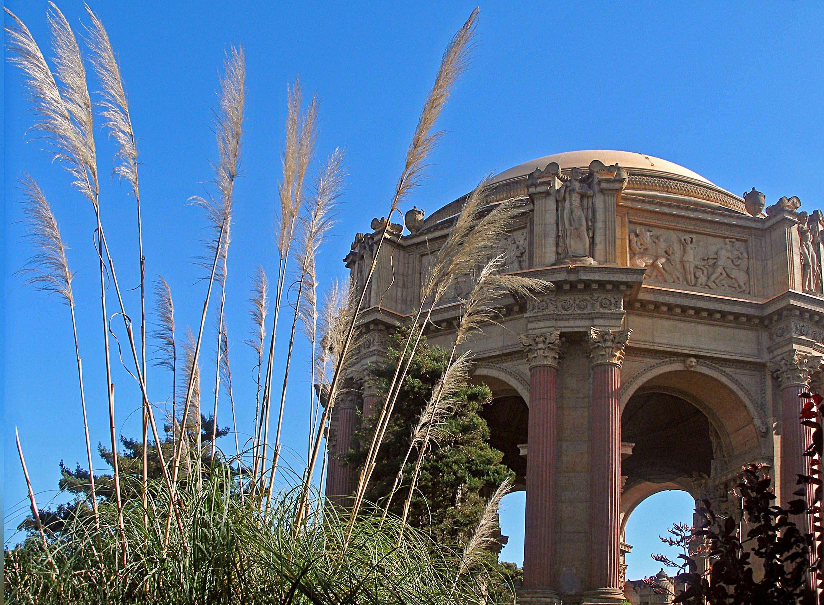 Le "Palace of Fine Arts" Le "Palace of Fine Arts"