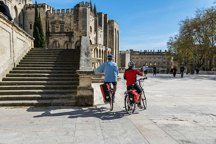 Avignon et le Vaucluse à vélo : la Provence à coup de pédales