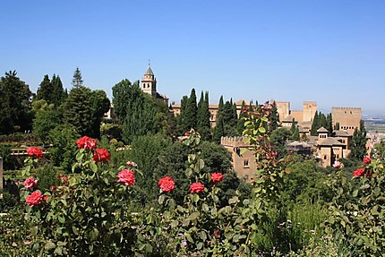 Alhambra en fleur