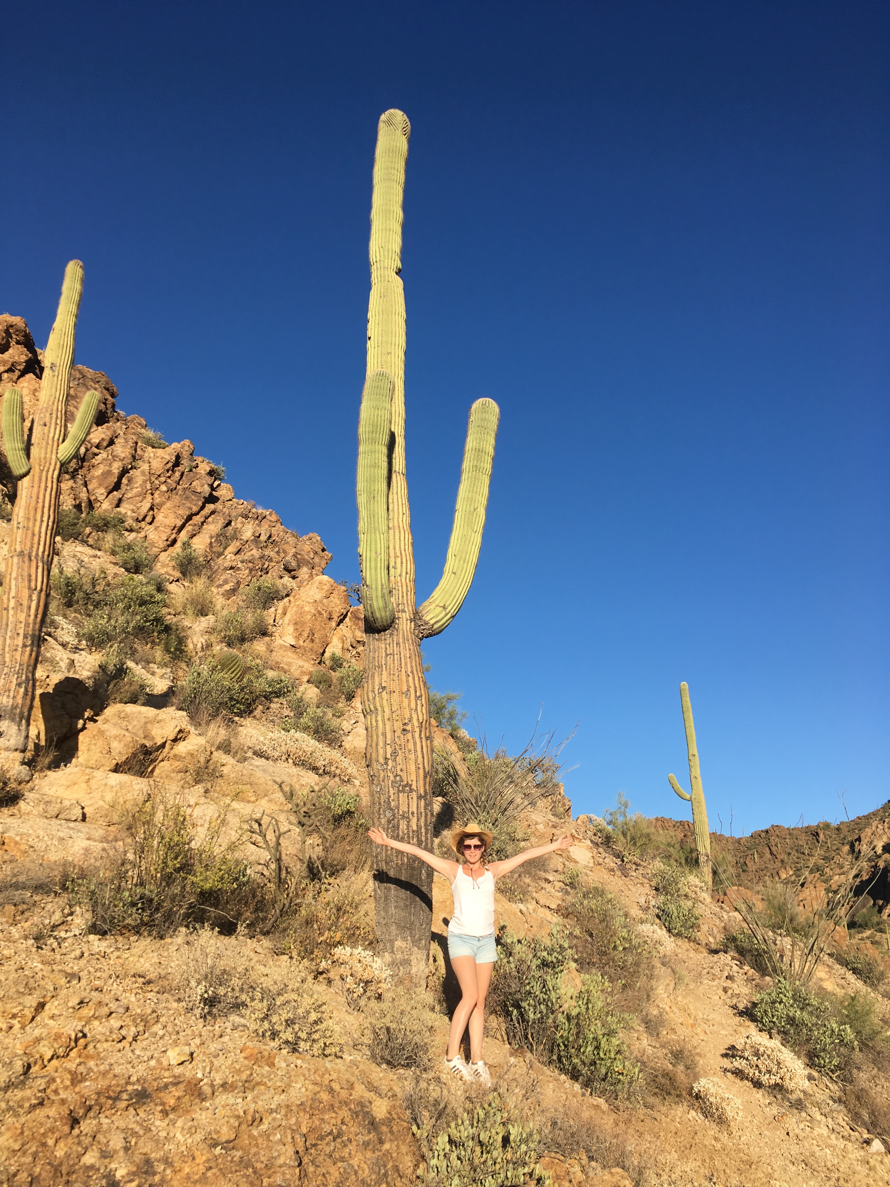 Saguaro National Park Saguaro National Park