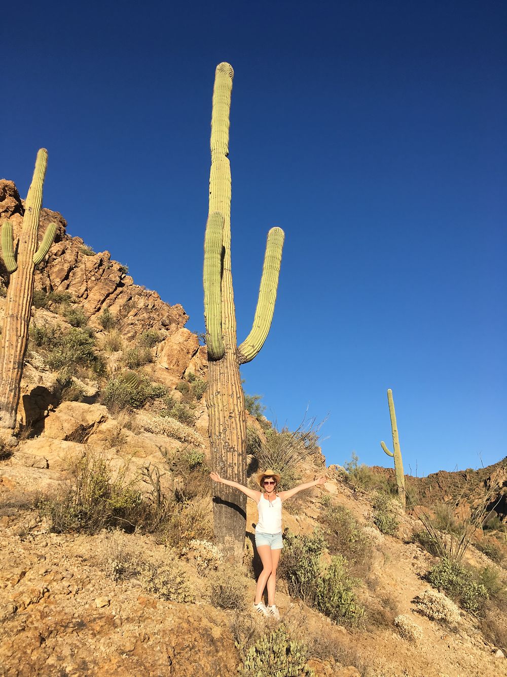 Saguaro National Park