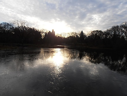 Lac gelé à Central Park