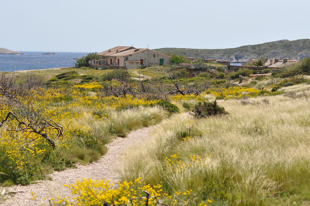 Cabanon à Marseilleveyre