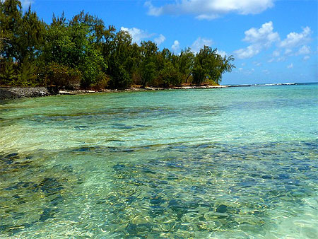 Paradis Paradis