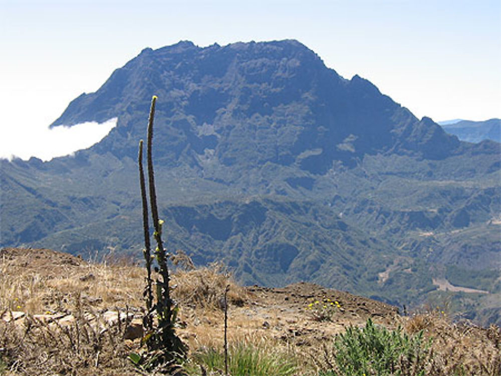 Le Piton des neiges vu du Maïdo