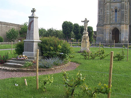 Vin en Calvados; Cesny aux Vignes Vin en Calvados; Cesny aux Vignes