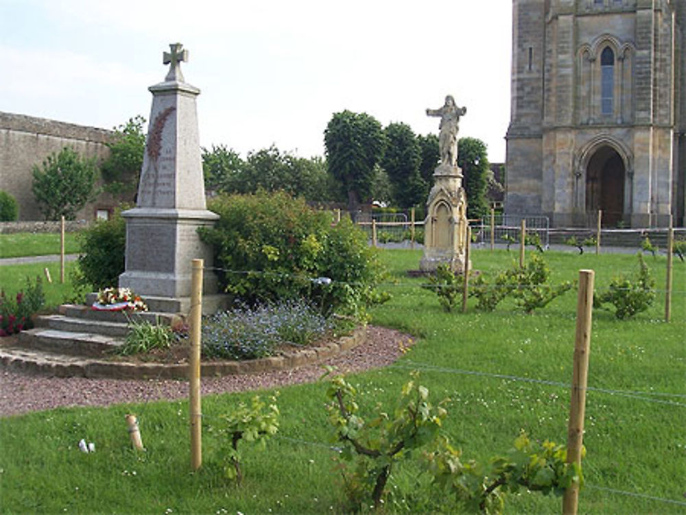 Vin en Calvados; Cesny aux Vignes