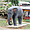 Statue d'éléphant