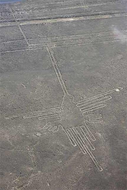 Colibri (Lignes Nazca)