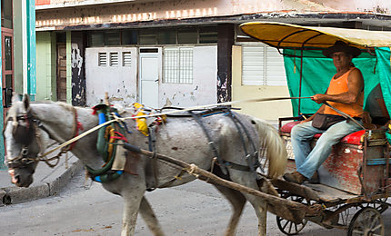 Transport à Camagüey