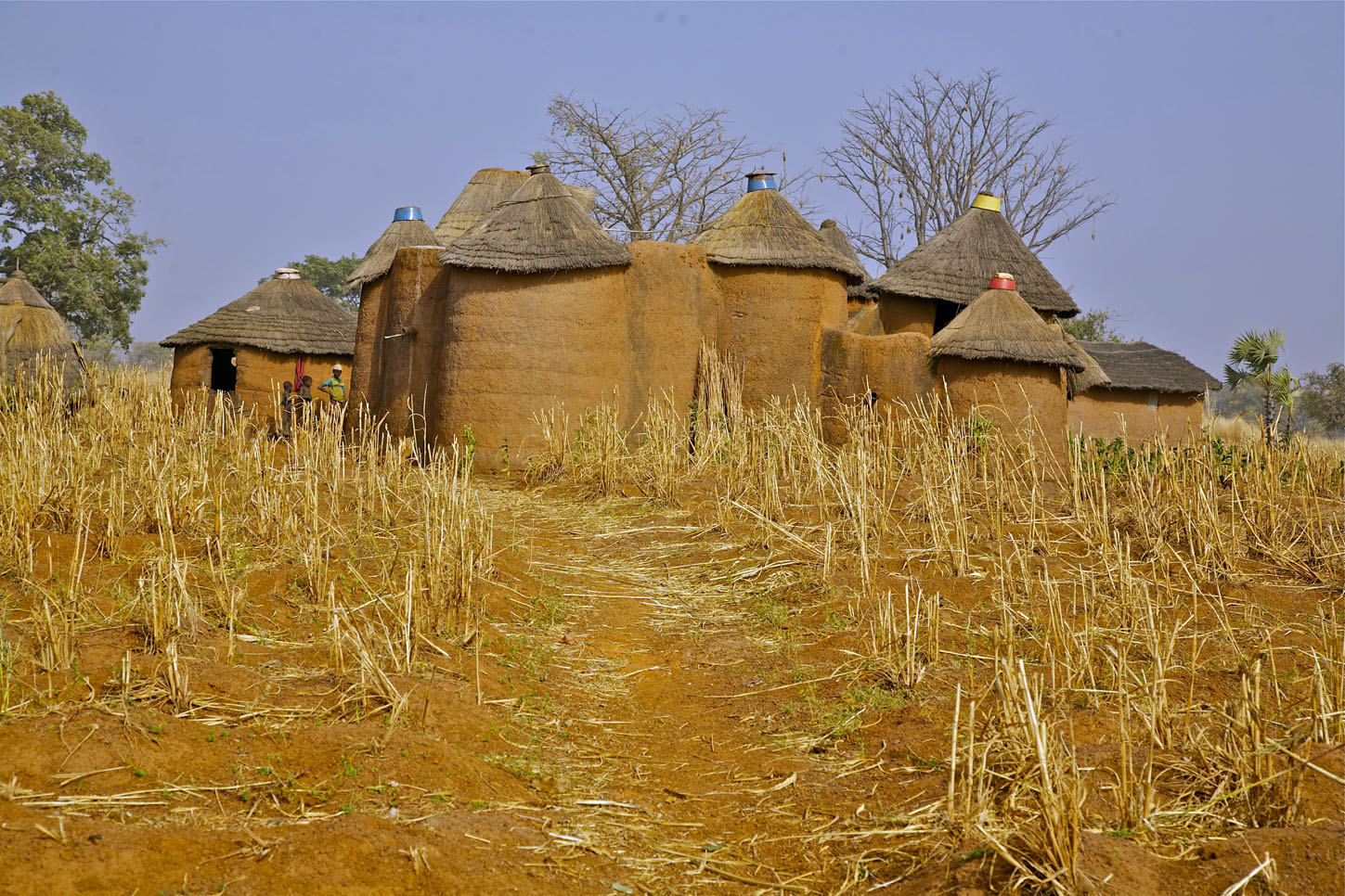 L'entrée d'un village "Tata Somba" L'entrée d'un village "Tata Somba"