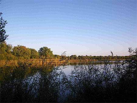 Etang de Brenne Etang de Brenne