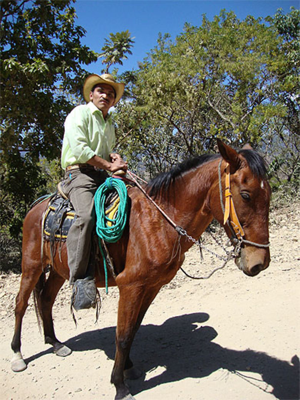 Cow-boy de San Manuel