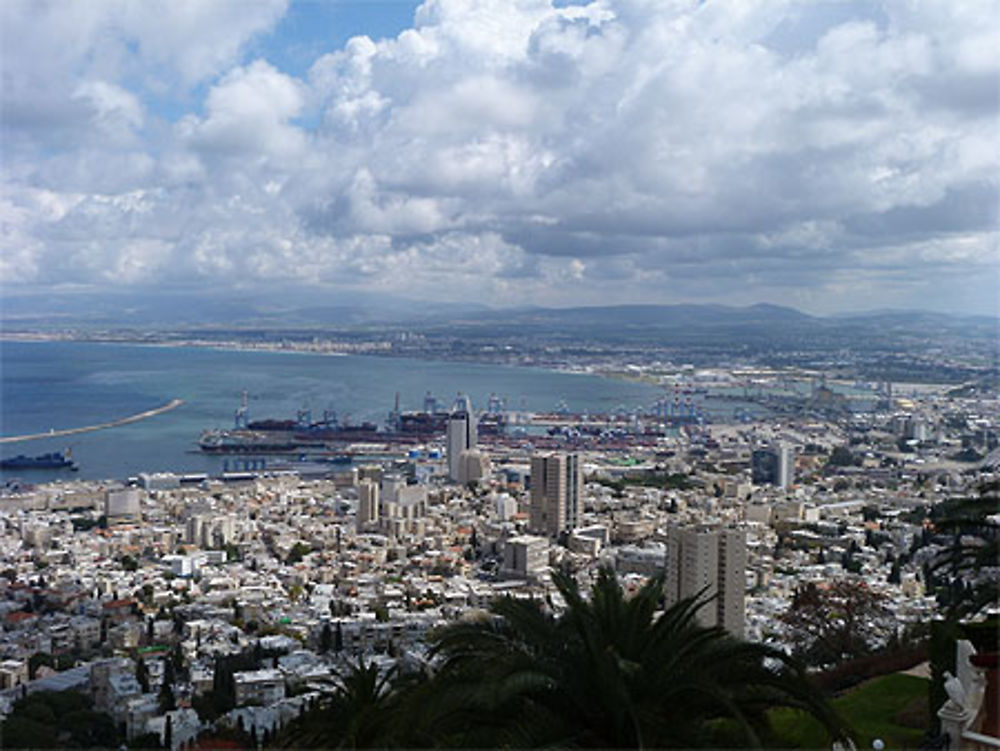 Haifa