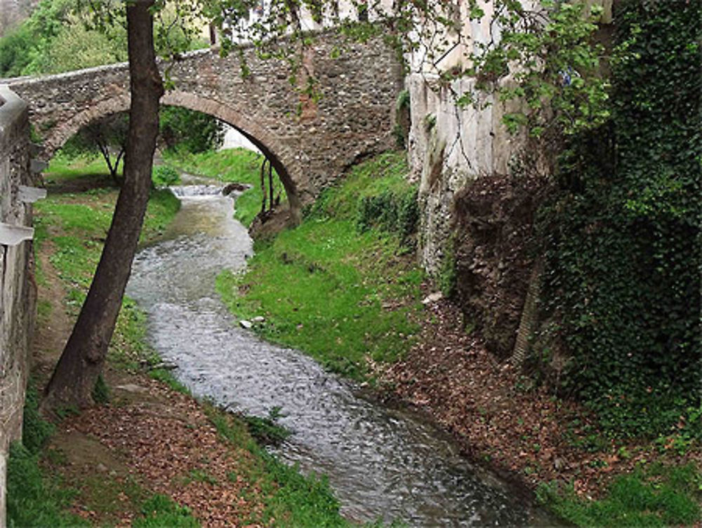 Rivière du quartier St Nicolas