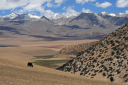 Tibet central