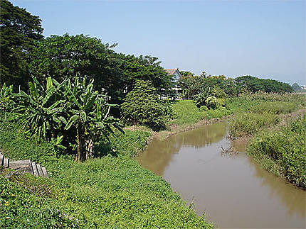 Vue du fleuve Kok