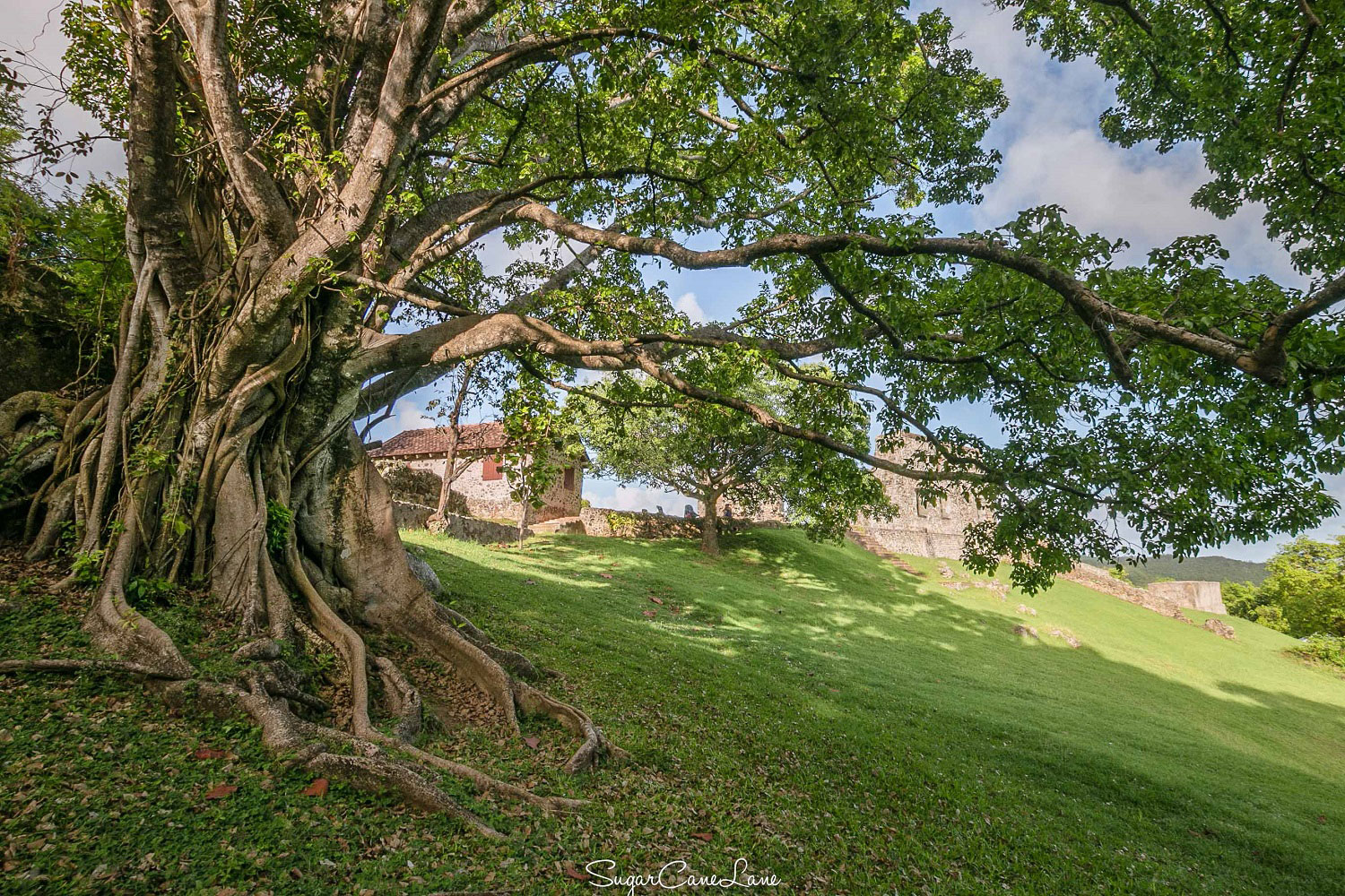 Château Dubuc Château Dubuc