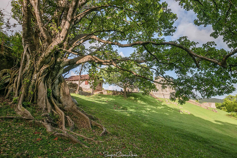 Château Dubuc