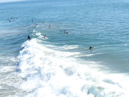 Les surfeurs sur les vagues de Los Angeles