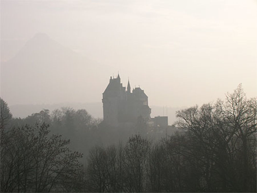 Manoir dans la brume