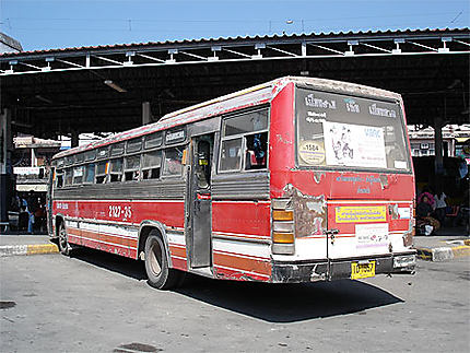 Bus thaï