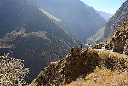 Canyon de la Colca