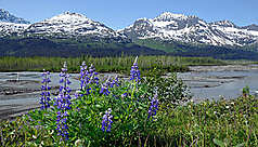 Alaska, la derni&egrave;re fronti&egrave;re