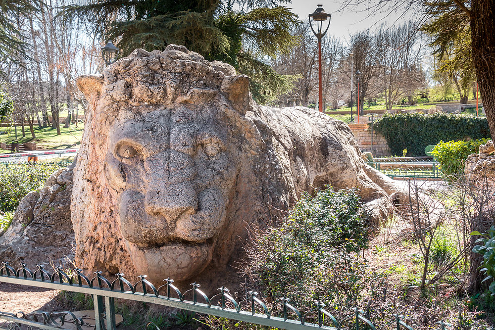 Le Lion d'Ifrane