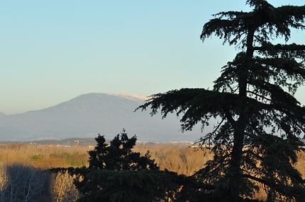 Mont Ventoux vu du Rocher des Doms