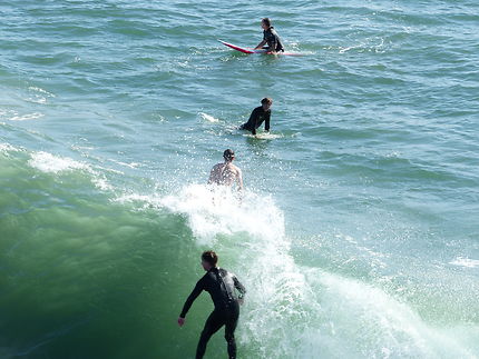 Surfeurs à Los Angeles