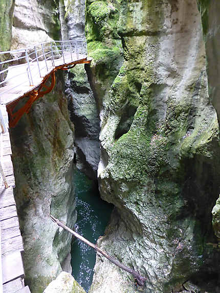 Tronc au milieu des gorges