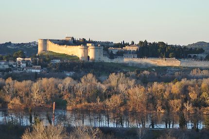 Fort Saint-André, vu du Rocher des Doms