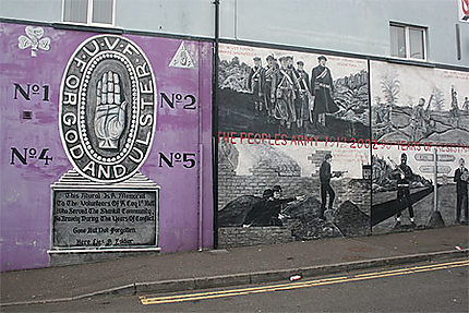 L'Ulster Volunteer Force