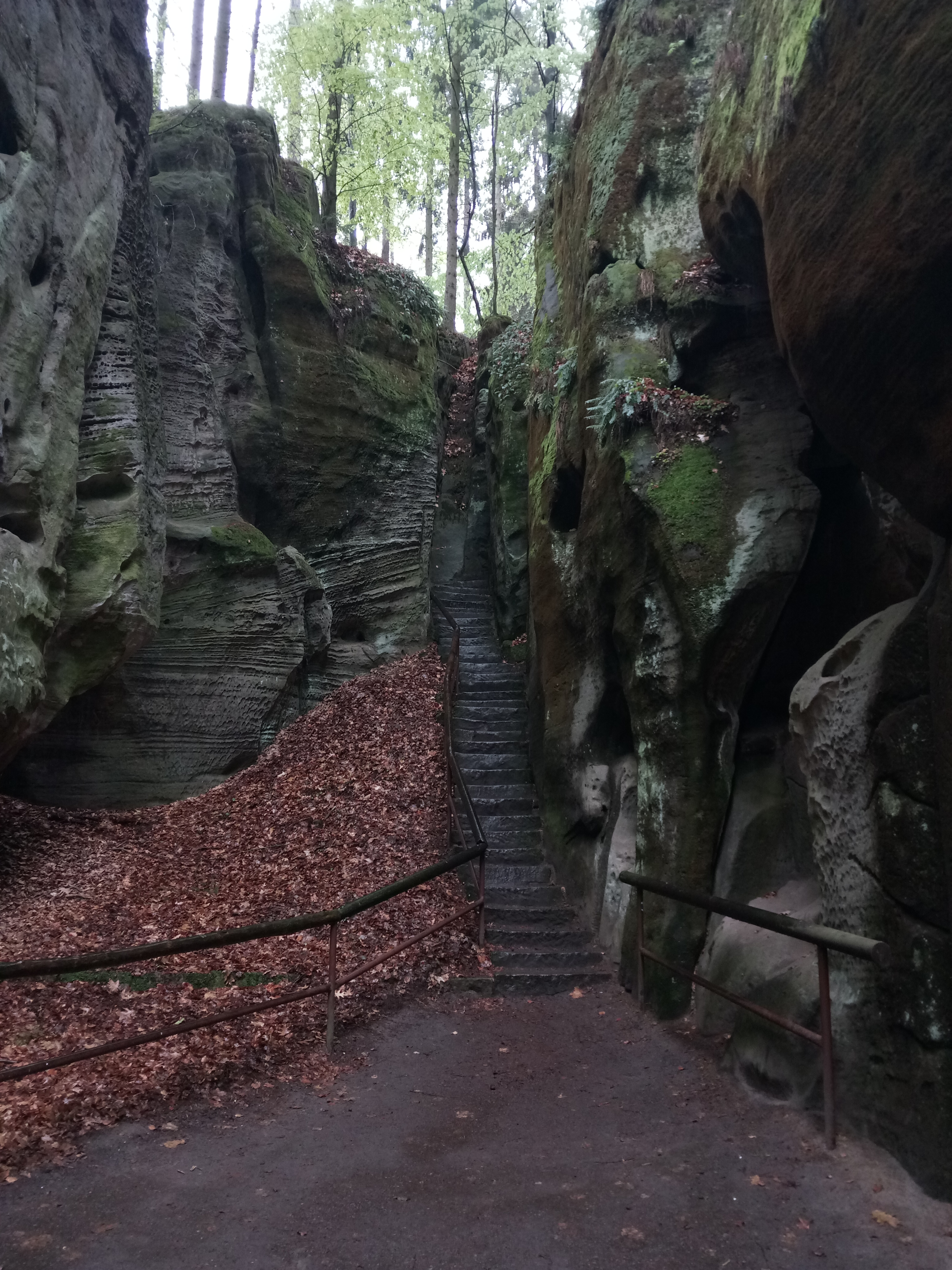 Chemin dans le Hruboskalsko Chemin dans le Hruboskalsko