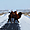 Promeneur des steppes, Mongolie