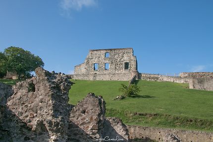 Château Dubuc