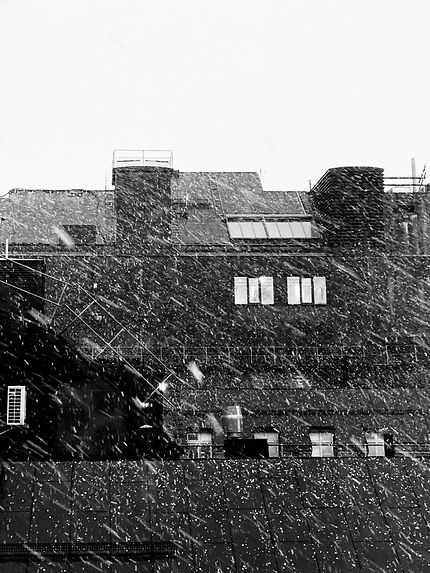 Snow black and white 