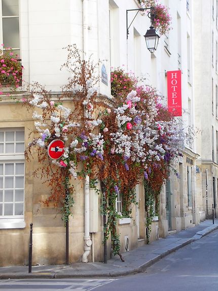 Façades fleuries à Paris