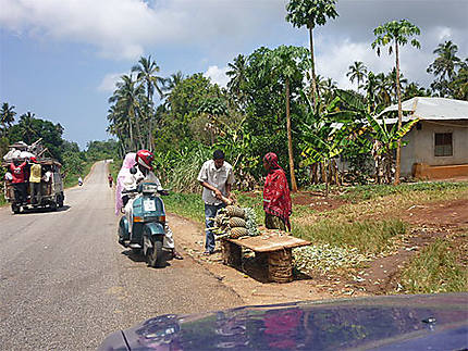 Route principale qui mène à Nungwi