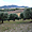 Les champs d'oliviers dans la vallée de Bisaccia