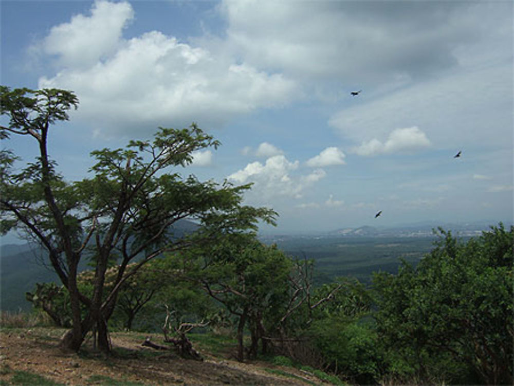 Les montagnes de Tepoztlan