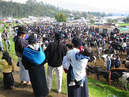 Le marché aux animaux d’Otavalo
