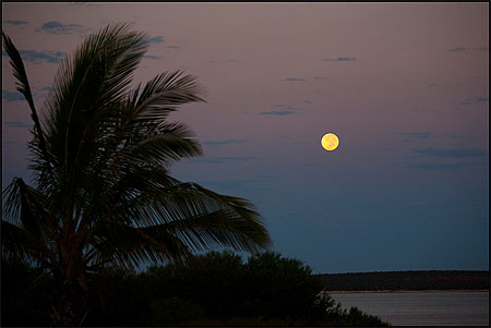 Lever de lune Lever de lune