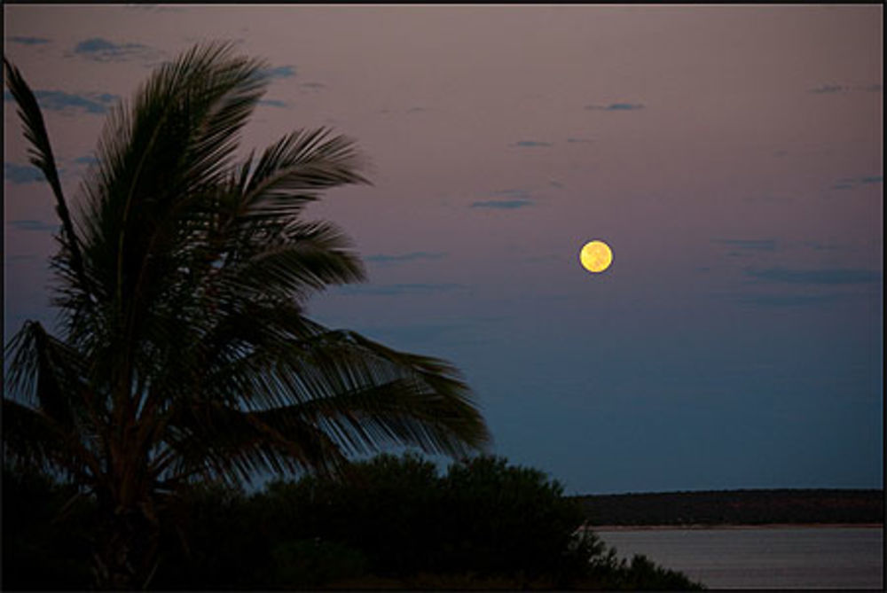 Lever de lune