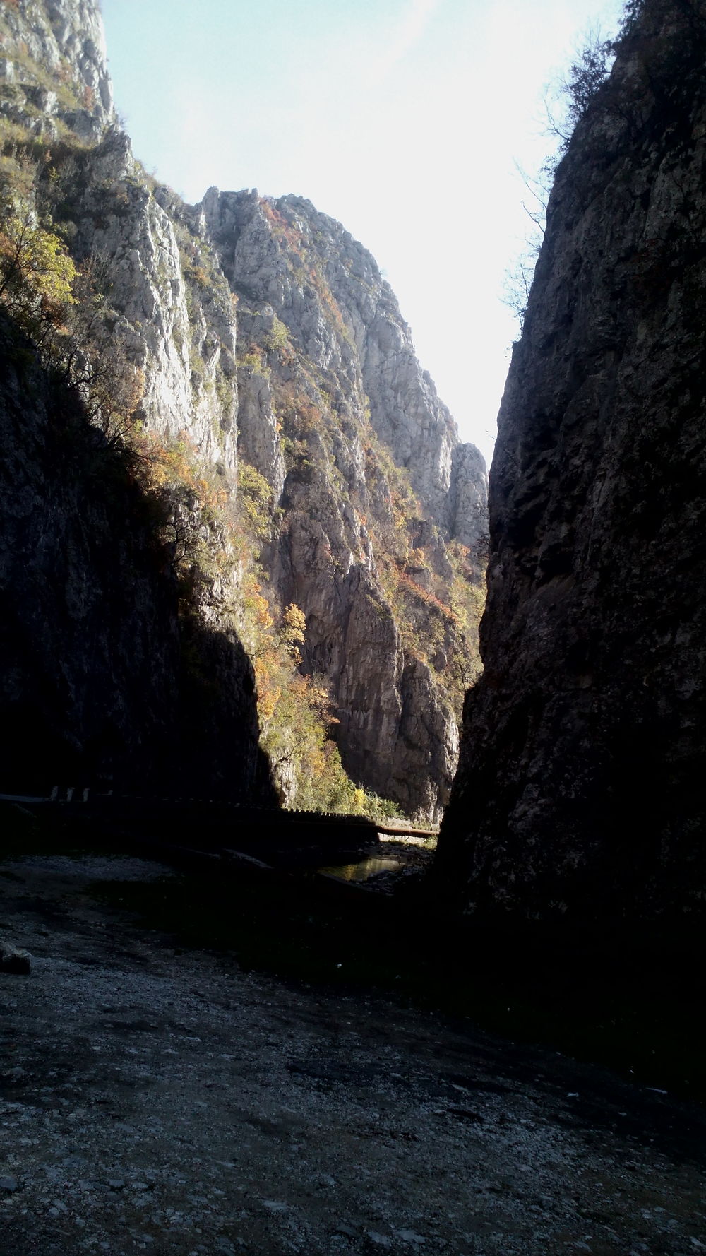 Les gorges à Targu Jiu